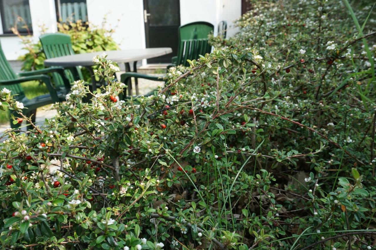 Kubschutz Ferienwohnung Czornebohblick מראה חיצוני תמונה